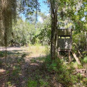 Photo #53 of 100 Hog Island, New Bern, NC 950.0 acres