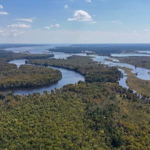 Photo #58 of 100 Hog Island, New Bern, NC 950.0 acres