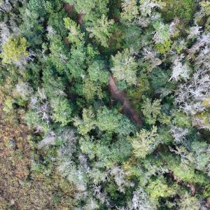 Photo #60 of 100 Hog Island, New Bern, NC 950.0 acres