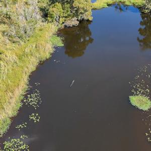 Photo #61 of 100 Hog Island, New Bern, NC 950.0 acres