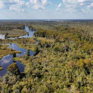Photo #62 of 100 Hog Island, New Bern, NC 950.0 acres