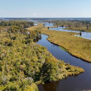 Photo #63 of 100 Hog Island, New Bern, NC 950.0 acres