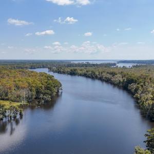 Photo #64 of 100 Hog Island, New Bern, NC 950.0 acres