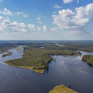 Photo #66 of 100 Hog Island, New Bern, NC 950.0 acres