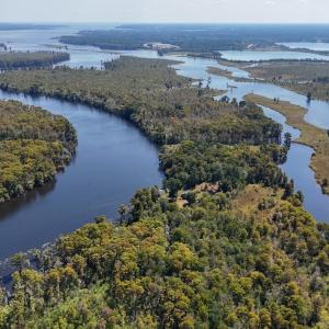 Photo #67 of 100 Hog Island, New Bern, NC 950.0 acres