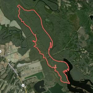 Photo #69 of 100 Hog Island, New Bern, NC 950.0 acres