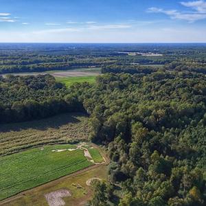 Photo #11 of off Owens Farm Road, Fremont, NC 43.5 acres