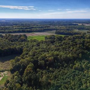 Photo #12 of off Owens Farm Road, Fremont, NC 43.5 acres