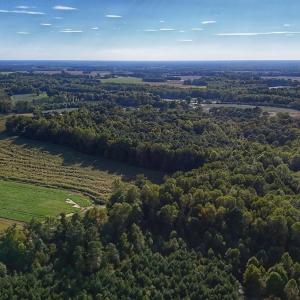 Photo #13 of off Owens Farm Road, Fremont, NC 43.5 acres