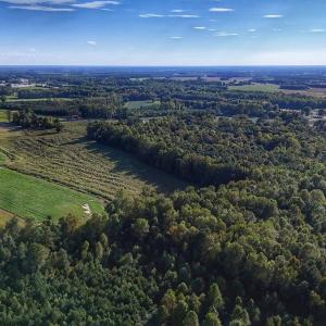 Photo #14 of off Owens Farm Road, Fremont, NC 43.5 acres