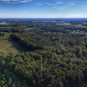 Photo #15 of off Owens Farm Road, Fremont, NC 43.5 acres