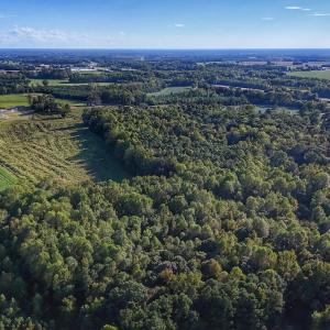 Photo #16 of off Owens Farm Road, Fremont, NC 43.5 acres
