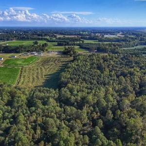 Photo #18 of off Owens Farm Road, Fremont, NC 43.5 acres