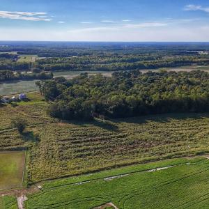 Photo #7 of off Owens Farm Road, Fremont, NC 43.5 acres