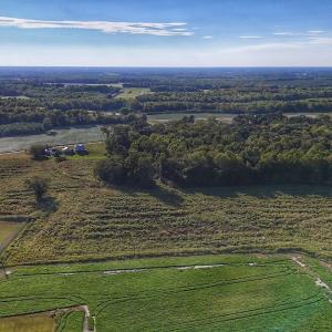 Photo #8 of off Owens Farm Road, Fremont, NC 43.5 acres