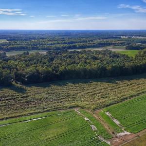 Photo #9 of off Owens Farm Road, Fremont, NC 43.5 acres