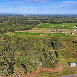 Photo #24 of off Owens Farm Road, Fremont, NC 43.5 acres