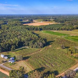 Photo #27 of off Owens Farm Road, Fremont, NC 43.5 acres