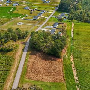 Photo #29 of off Owens Farm Road, Fremont, NC 43.5 acres