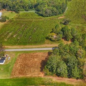 Photo #31 of off Owens Farm Road, Fremont, NC 43.5 acres