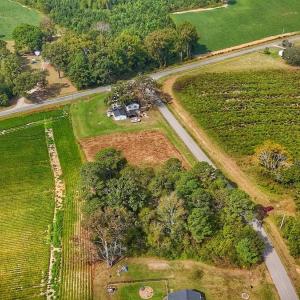 Photo #32 of off Owens Farm Road, Fremont, NC 43.5 acres