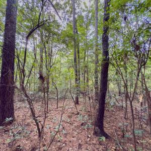 Photo #11 of Off Danville Drive, Fayetteville, NC 145.3 acres