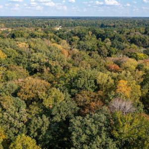 Photo #12 of Off Danville Drive, Fayetteville, NC 145.3 acres