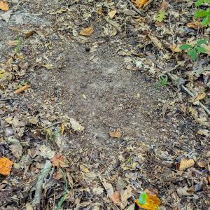 Photo #13 of Off Danville Drive, Fayetteville, NC 145.3 acres