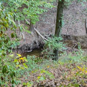 Photo #15 of Off Danville Drive, Fayetteville, NC 145.3 acres