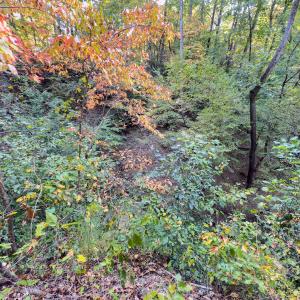 Photo #16 of Off Danville Drive, Fayetteville, NC 145.3 acres