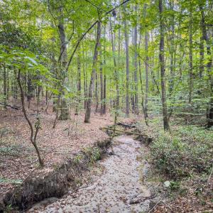 Photo #18 of Off Danville Drive, Fayetteville, NC 145.3 acres