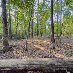 Photo #19 of Off Danville Drive, Fayetteville, NC 145.3 acres