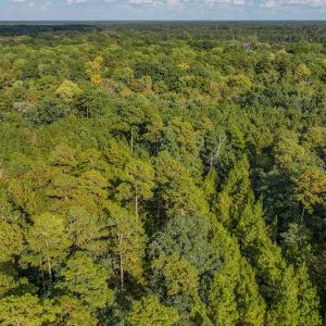 Photo #2 of Off Danville Drive, Fayetteville, NC 145.3 acres