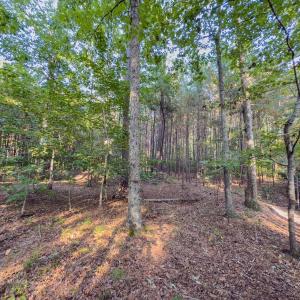 Photo #20 of Off Danville Drive, Fayetteville, NC 145.3 acres