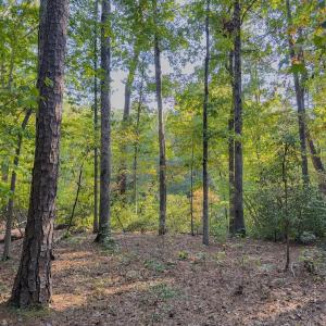 Photo #4 of Off Danville Drive, Fayetteville, NC 145.3 acres