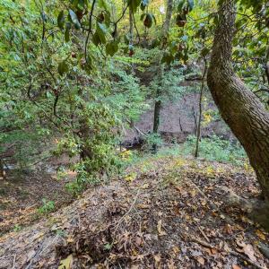 Photo #5 of Off Danville Drive, Fayetteville, NC 145.3 acres