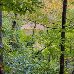 Photo #9 of Off Danville Drive, Fayetteville, NC 145.3 acres