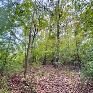 Photo #21 of Off Danville Drive, Fayetteville, NC 145.3 acres