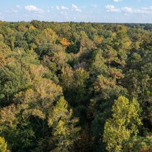 Photo #22 of Off Danville Drive, Fayetteville, NC 145.3 acres