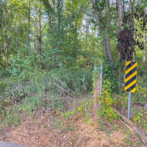 Photo #23 of Off Danville Drive, Fayetteville, NC 145.3 acres