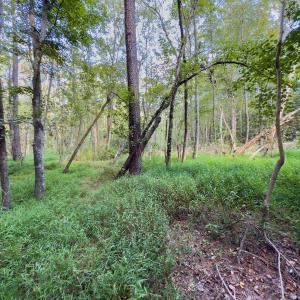 Photo #26 of Off Danville Drive, Fayetteville, NC 145.3 acres