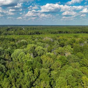 Photo #28 of Off Danville Drive, Fayetteville, NC 145.3 acres
