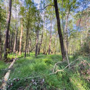Photo #29 of Off Danville Drive, Fayetteville, NC 145.3 acres