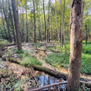 Photo #30 of Off Danville Drive, Fayetteville, NC 145.3 acres