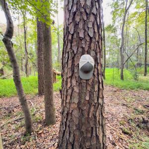 Photo #31 of Off Danville Drive, Fayetteville, NC 145.3 acres