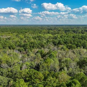 Photo #32 of Off Danville Drive, Fayetteville, NC 145.3 acres