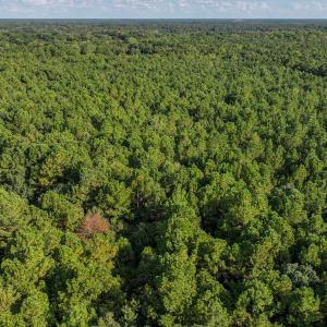 Photo #34 of Off Danville Drive, Fayetteville, NC 145.3 acres