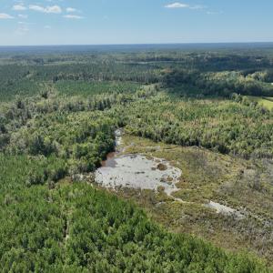 Photo #16 of Off Qualls Road, Hollister, NC 59.0 acres