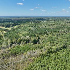 Photo #17 of Off Qualls Road, Hollister, NC 59.0 acres