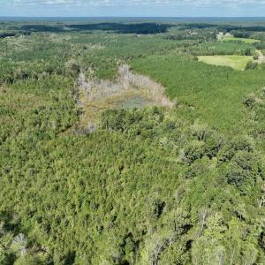 Photo #1 of Off Qualls Road, Hollister, NC 59.0 acres